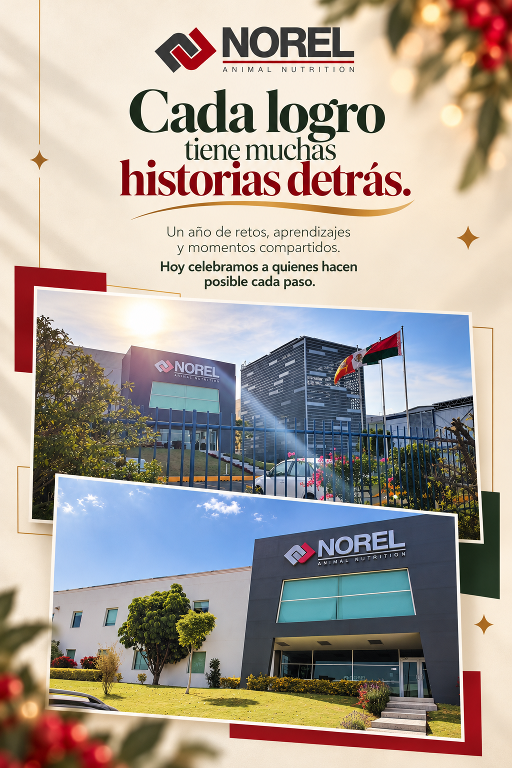 Cada logro tiene muchas historias detrás. Gracias al equipo NOREL